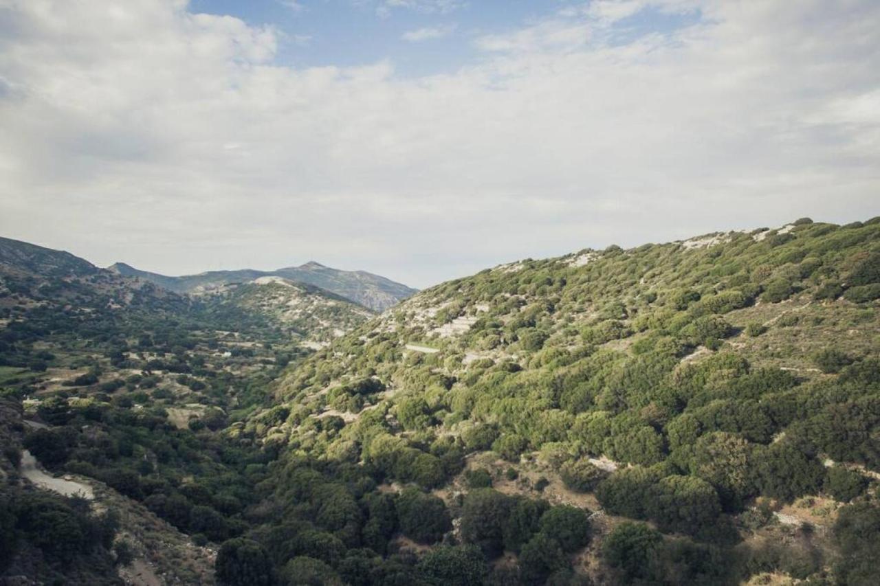 Traditional Inn Pirethron Aperathos Bagian luar foto